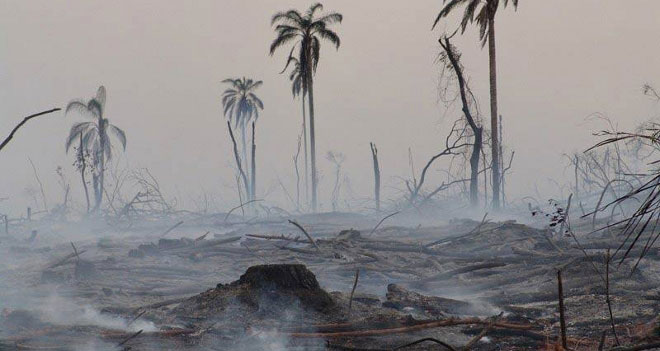 Desastres ambientales producidos por el cambio climático.