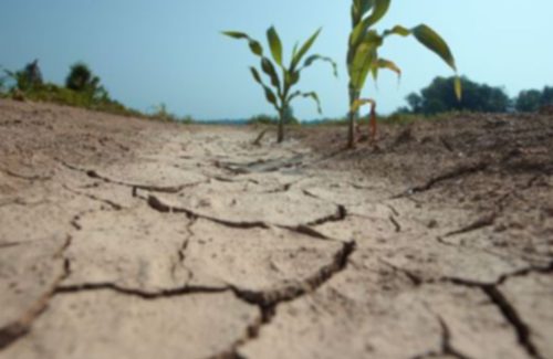 Camino a la peor sequía que haya conocido España: tomar las medidas necesarias