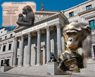 España está cada vez más anclada en el antropocentrismo