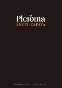 'Pleroma', de Ángel Zapata.